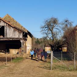 Here's Charlotte walking with the other girls to get their horses from the fields.