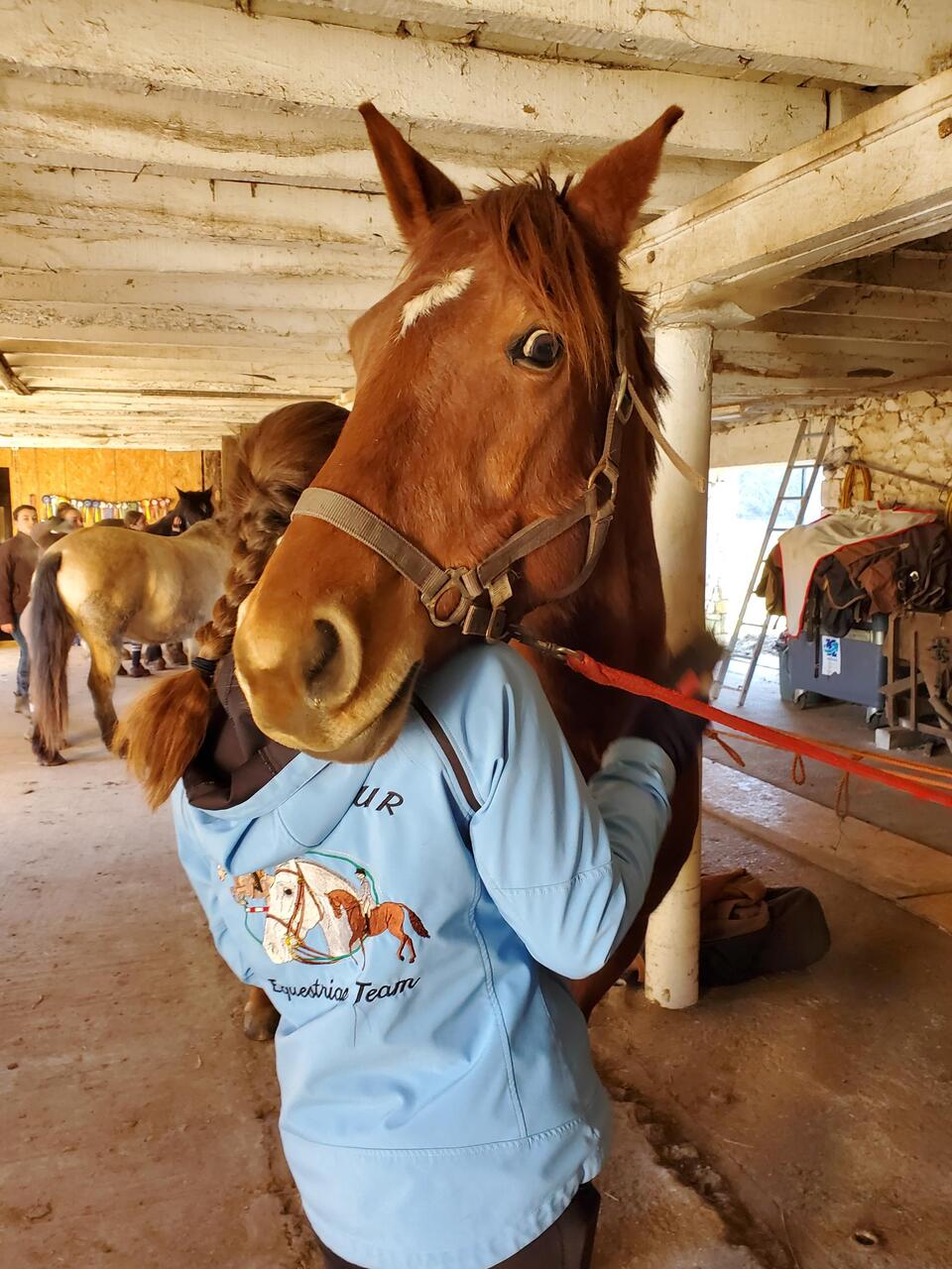 Such a sweet horse. She nuzzled in right away.