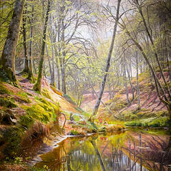 "Children on a Picnic in the Woods" (P.M. Mønsted - 1897) — Arkas Art Center in İzmir, Turkey.