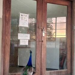 Bit he was to late, the shop was allready closed for today.