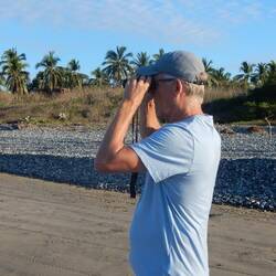 Looking for whales.