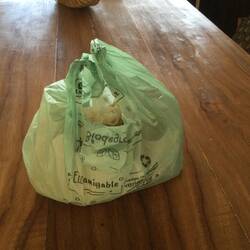 The bag Sara gave us