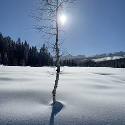 Sonne satt