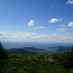 Schöne Aussicht ins Rheintal beim Aufstieg auf den Hochkopf