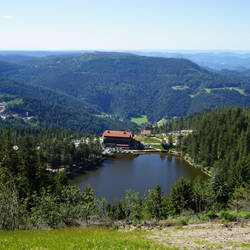 Ausblick von der Grindehütte auf den Mummelsee