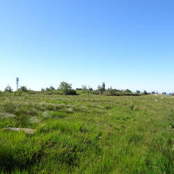 Hochebene Hornisgrinde