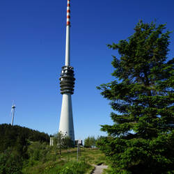 Fast geschafft: der Aufstieg auf die Hornisgrinde