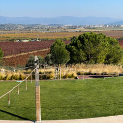 Panoramic view of the vineyard — LA Mahzen @ the Arkas Vineyards ... Torbalı, İzmir.