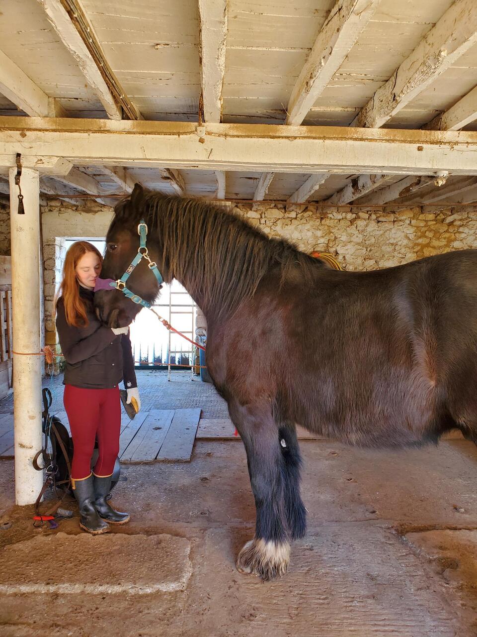 Getting Juanito ready to ride again
