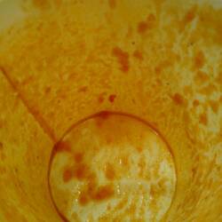 Vanished soup from rescued tomatoes