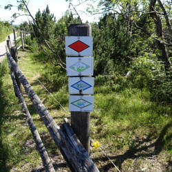 Mehrere Fernwanderwege treffen sich am Schliffkopf