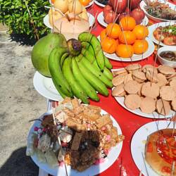 Bananen, Pomelo, Kokosnuss, Trauben, Mandarinen, Äpfel, Ananas, Drachenfrüchte, Nashibirnen.....