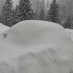 Hier versteckt sich Livio's Auto