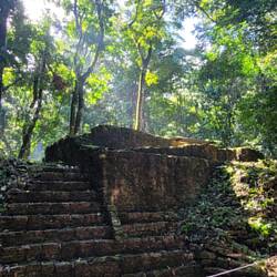 Die Ruinen von Palenque