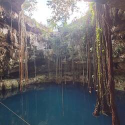 Cenote Oxman bei Valladolid