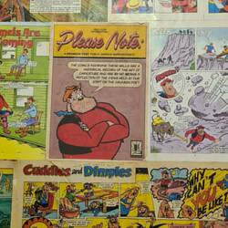 Retro comics lined the loo and also displayed a disclaimer haha 😄