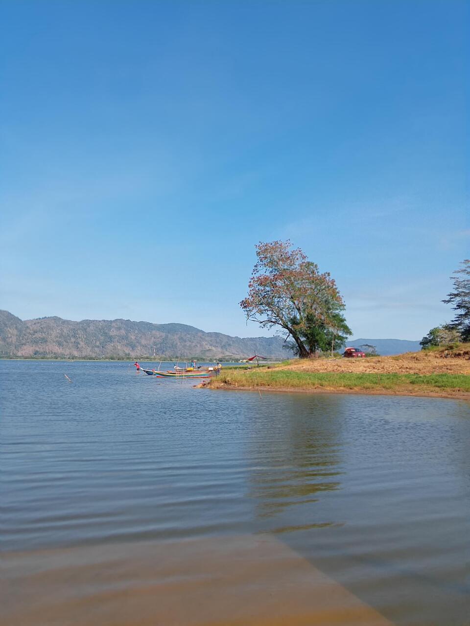 A tree with a view of the Dam