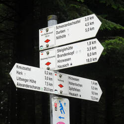 Diesmal geht´s über den Brandenkopf