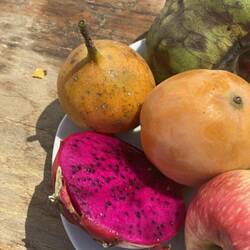 Mittag vom lokalen Markt (immer ein Erlebnis)