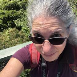 Evidence of my Climb to the Observation Deck