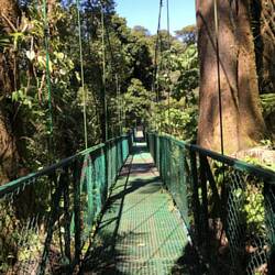 One of Eight Hanging Bridges