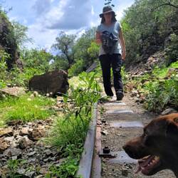 Bahngleisspaziergang