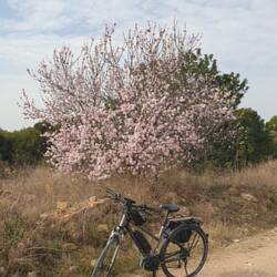 42 km kreuz und quer durchs Hinterland von Bétera
