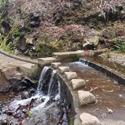 Mountain river feeds the Levada