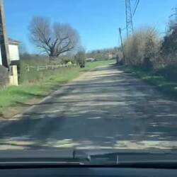 Bad singing on empty roads