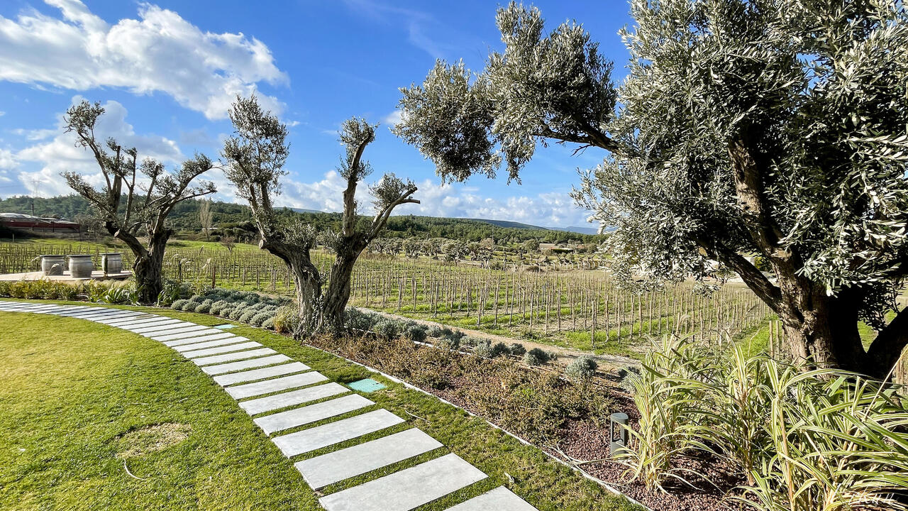 Welcome to the Hus Wines Vineyard — Urla ... İzmir, Turkey.