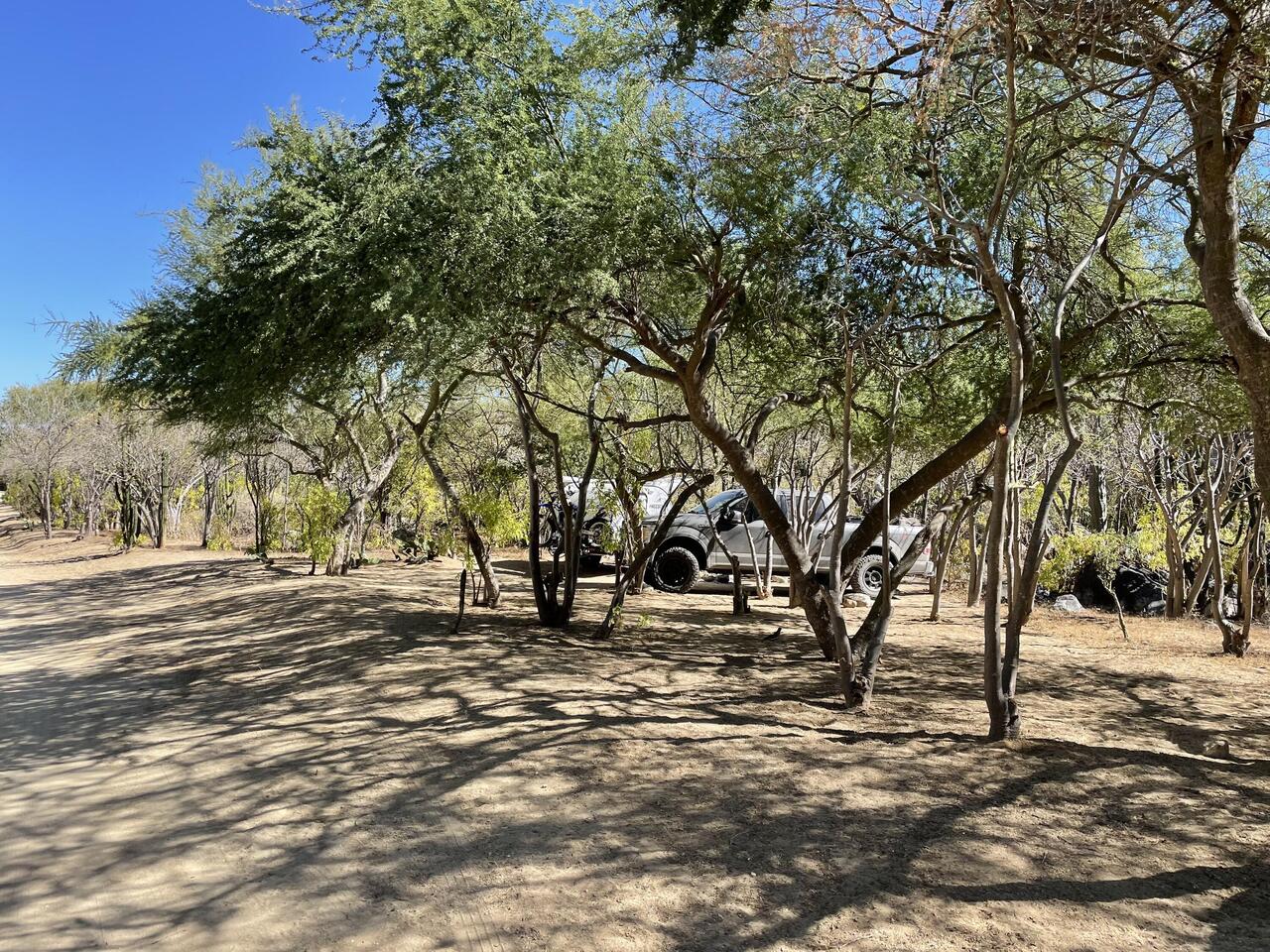 Cool camp spot