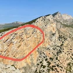 Die weißen Flecken sind reine Adlerscheiße!!!💩