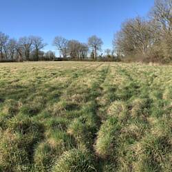 Land again