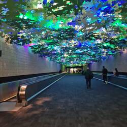 Airport