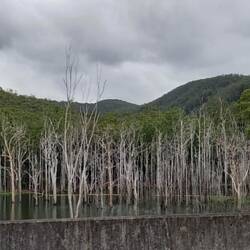 On the way to the NP