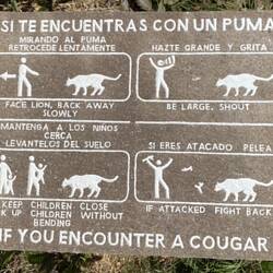 Das hämmer leider ned chönne ahwende.;)