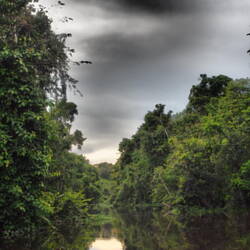 Flussfahrt auf dem Kinabantangan Fluss. Auch „Amazonas des Ostens“ genannt