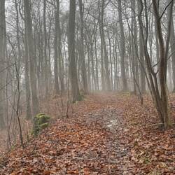 Weg in der Wolke