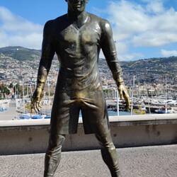 CR 7