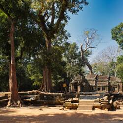 Ta Prohm