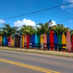 Aloha Hostel
