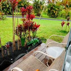 Aloha Big Island 🤗