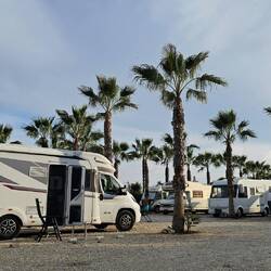 Der Platz ist mit Palmen 🌴 schön angelegt.
