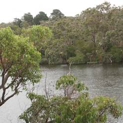 Kalgan River