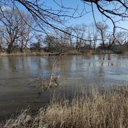 viel Wasser in der Saale