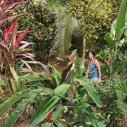 Urwaldunterkunft ........