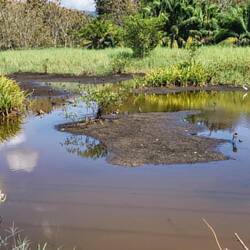 Sumpf vor dem Strand