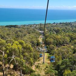 View from Arthur's Seat gondola