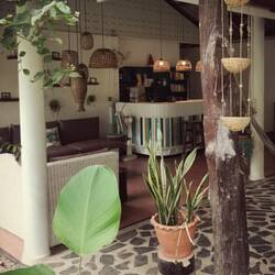 Green Pepper Lounge