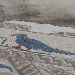 One of a set of colourful birds